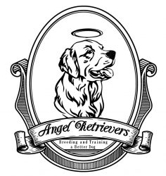 Angel Retrievers